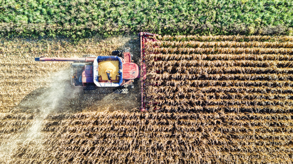 Harvesting crops with a combine harvester
